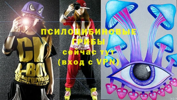 спиды Зеленодольск