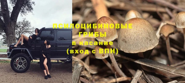 хмурый Зеленокумск
