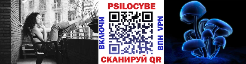 Купить закладки  Севастополь  Псилоцибиновые грибы GOLDEN TEACHER 